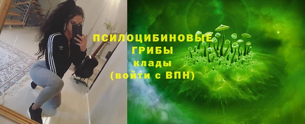 эйфоретик Алзамай
