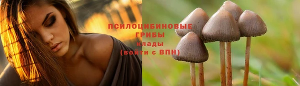 тгк Алексин