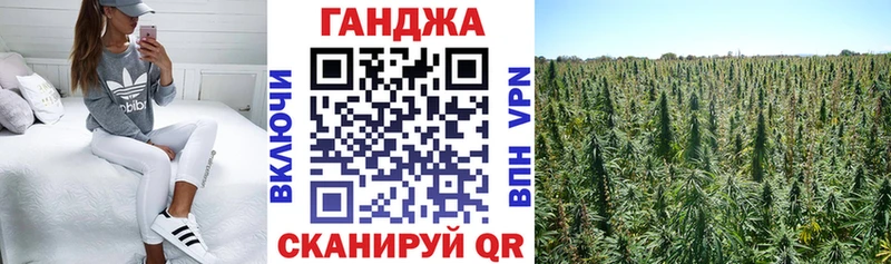 Шишки марихуана VHQ  мега рабочий сайт  darknet клад  Большой Камень 